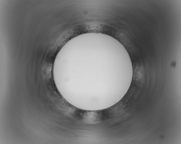 X0000114410717200911061601