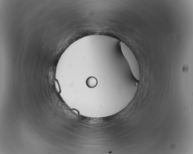 X0000114410720200911061601