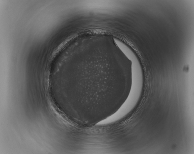 X0000114410722200911061600