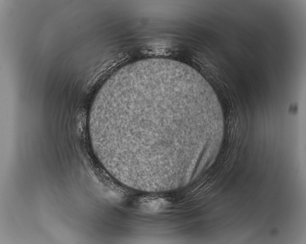 X0000114410747200911061600