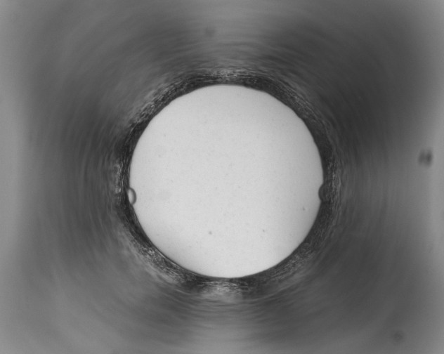 X0000114410750200911061600