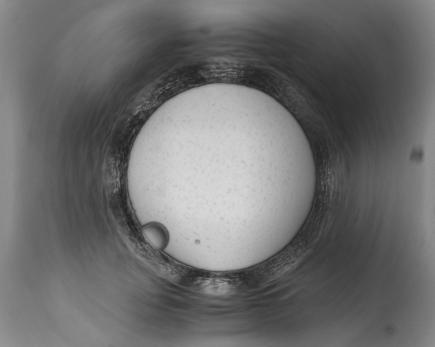 X0000114410751200911061601