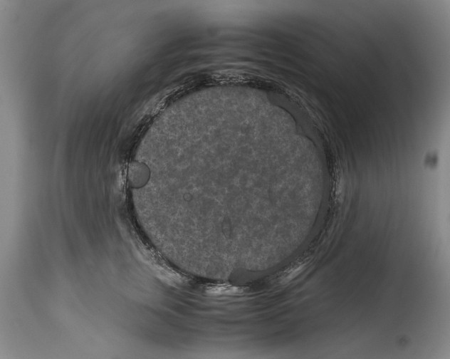 X0000114410759200911061601