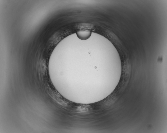 X0000114410761200911061601