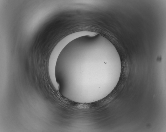 X0000114410762200911061601