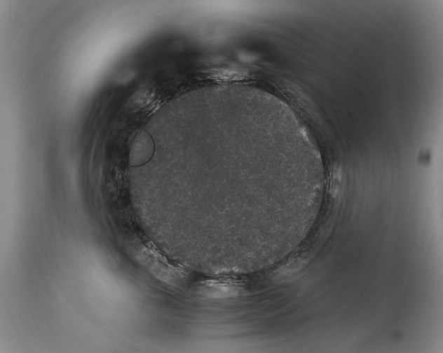 X0000114410763200911061601