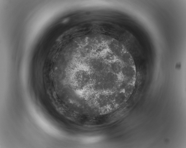 X0000114410765200911061601