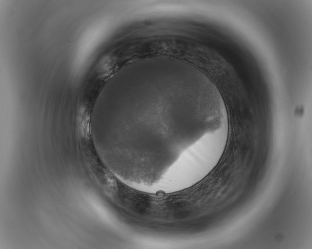 X0000114410766200911061601