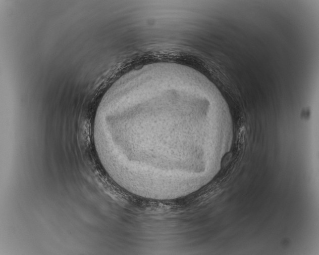 X0000114410772200911061600