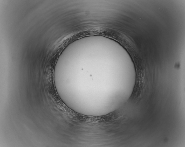 X0000114410773200911061600