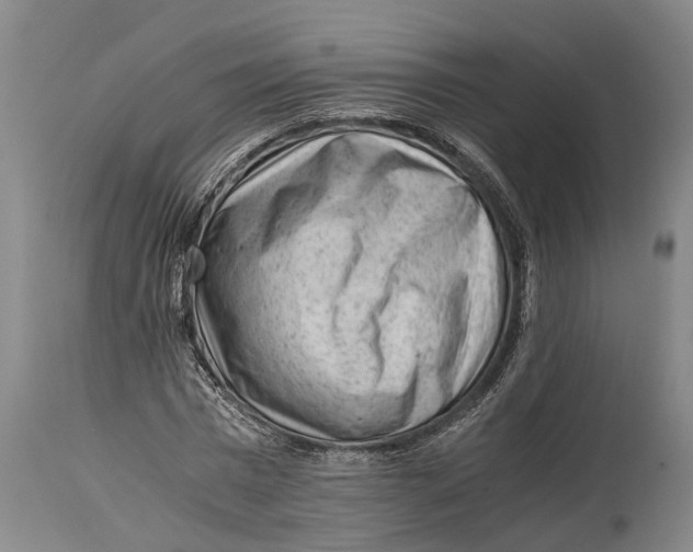 X0000114410777200911061600