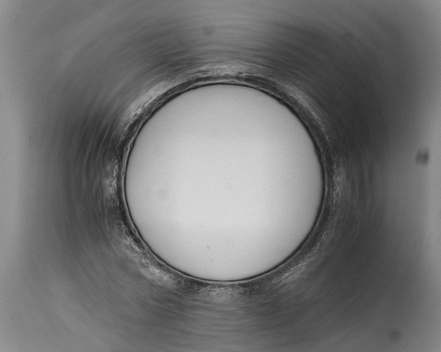 X0000114410778200911061600