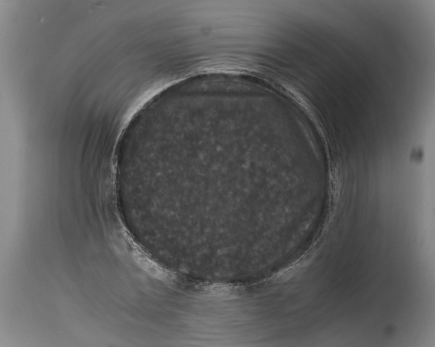 X0000114410779200911061600