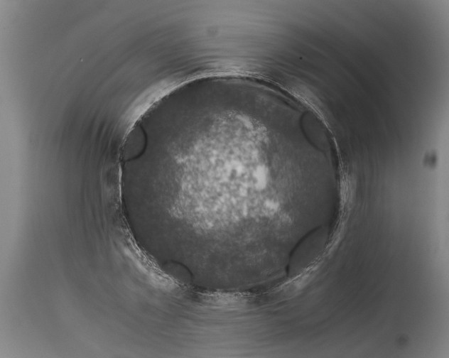 X0000114410781200911061600