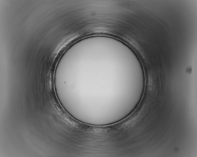 X0000114410782200911061600