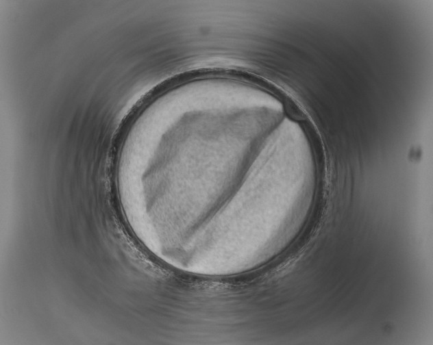 X0000114410783200911061600