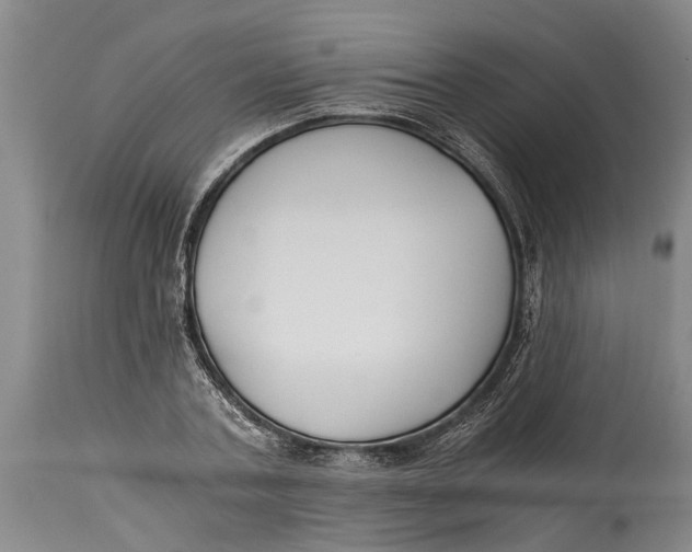 X0000114410787200911061600