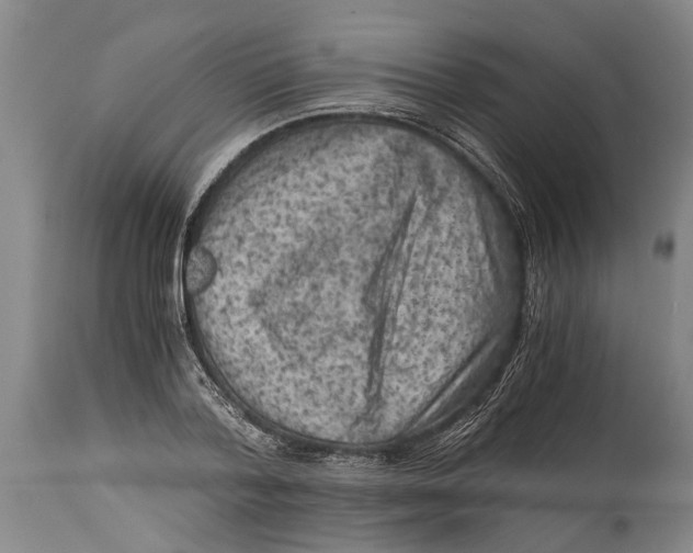 X0000114410788200911061600