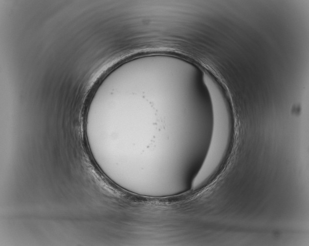 X0000114410789200911061600