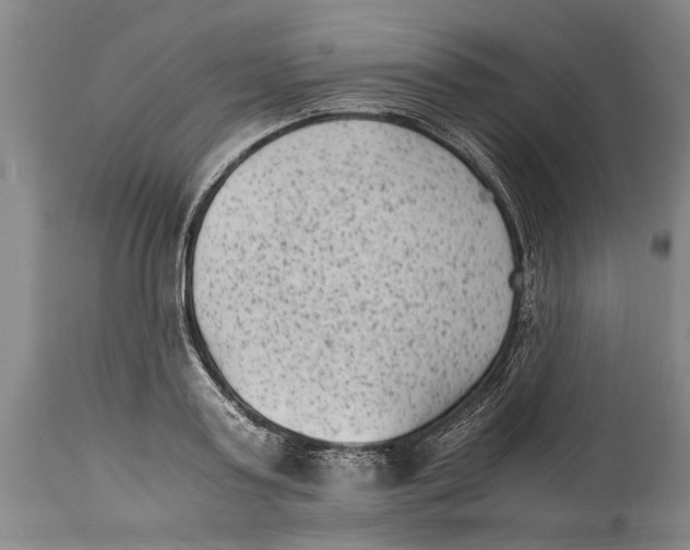 X0000114410795200911061559