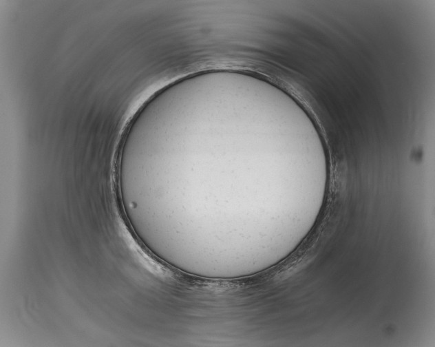 X0000114410803200911061559