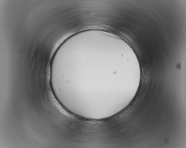 X0000114410804200911061559