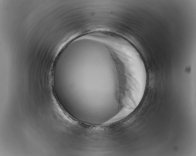 X0000114410806200911061559