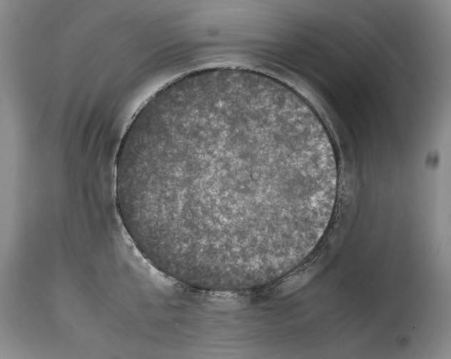 X0000114410807200911061559