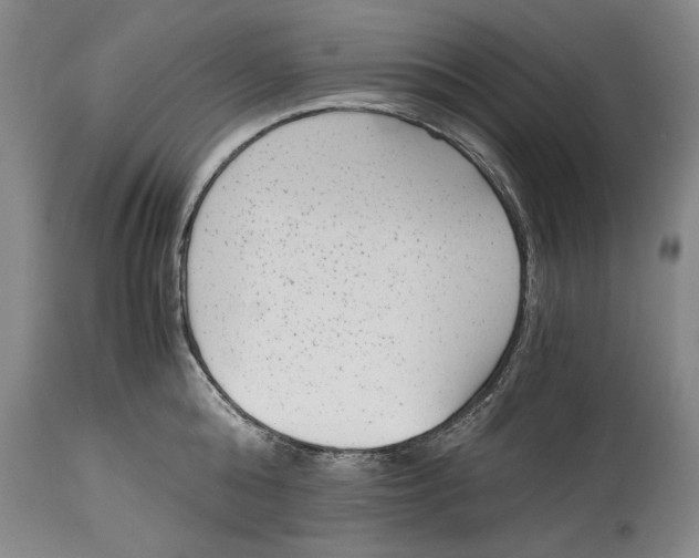 X0000114410808200911061559