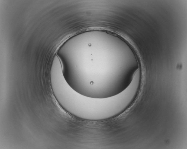 X0000114410809200911061559