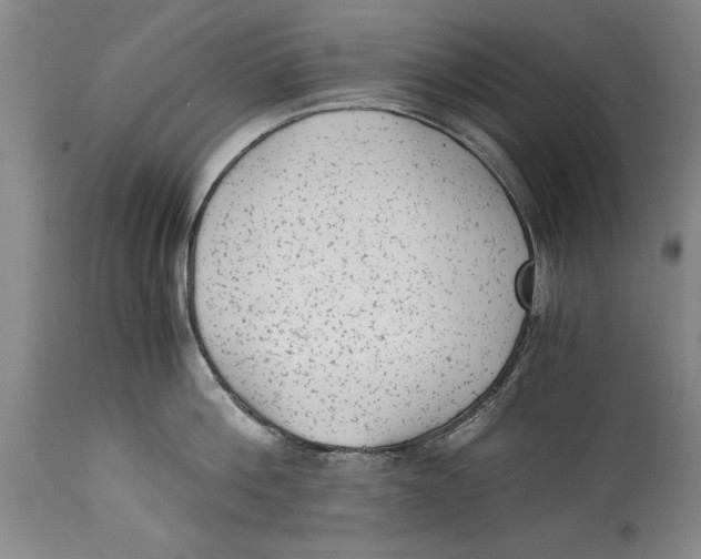 X0000114410812200911061559