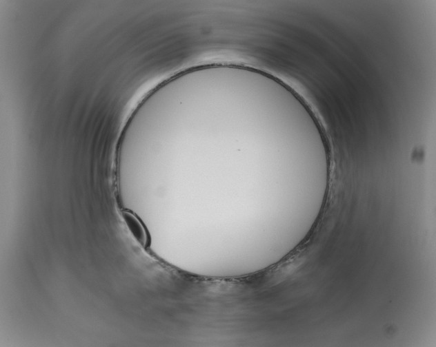 X0000114410815200911061559