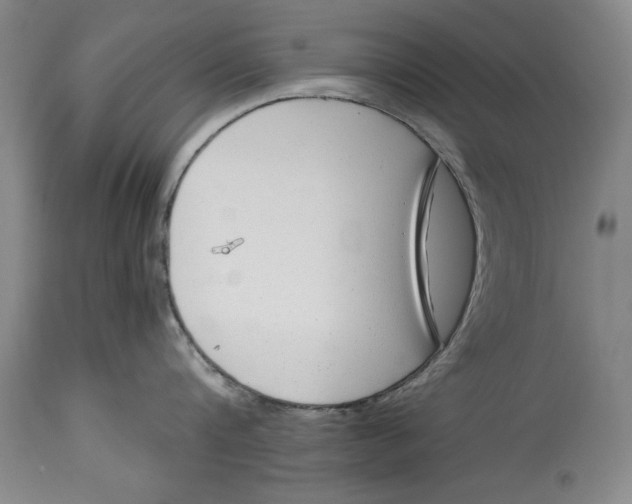 X0000114410816200911061559