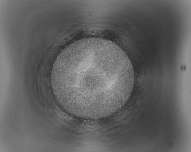 X0000114410817200911061558