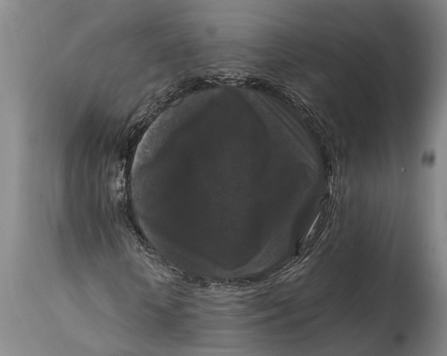 X0000114410818200911061558