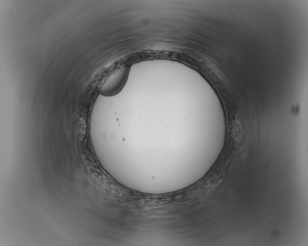 X0000114410821200911061558