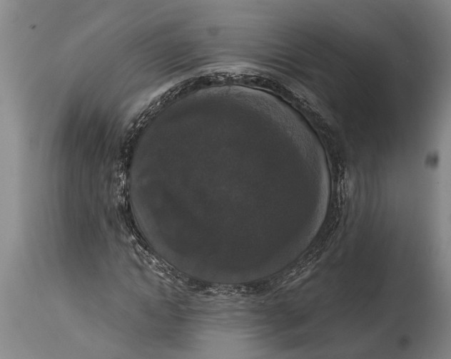 X0000114410822200911061558