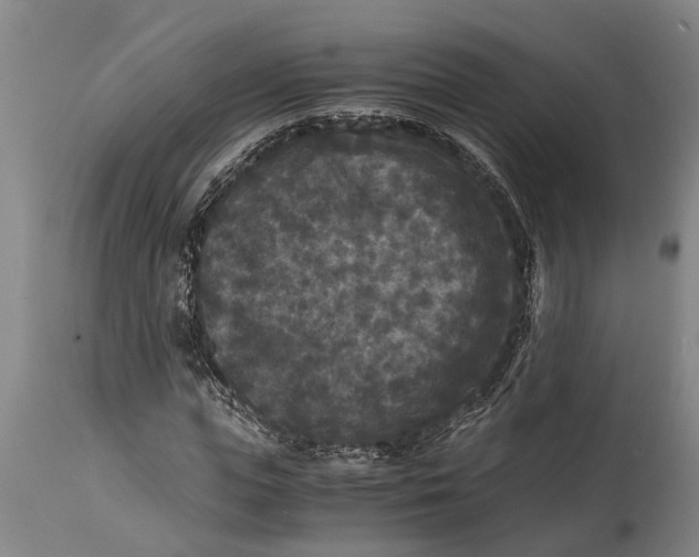 X0000114410823200911061558