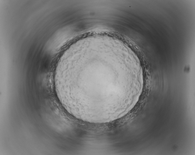 X0000114410824200911061558