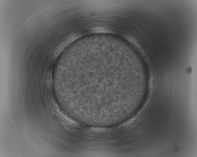 X0000114410825200911061558