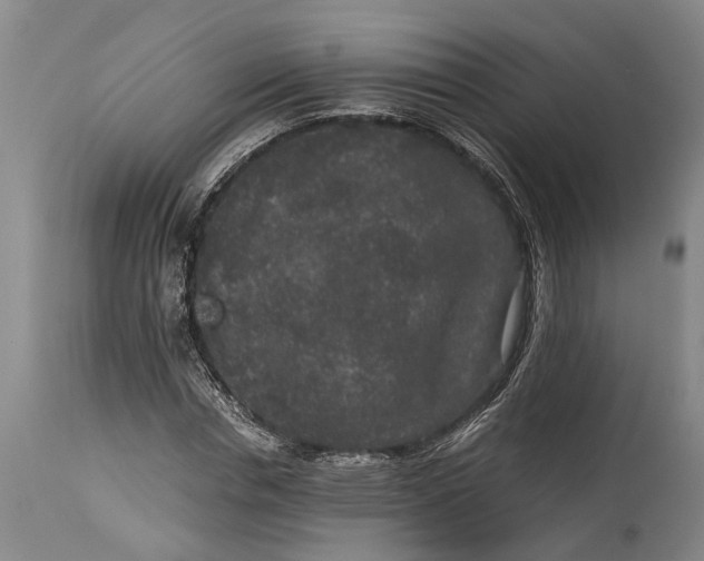 X0000114410826200911061558