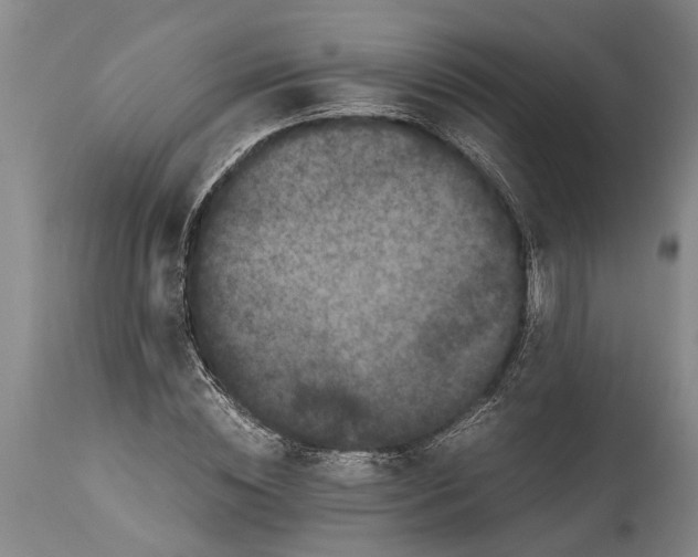 X0000114410828200911061559