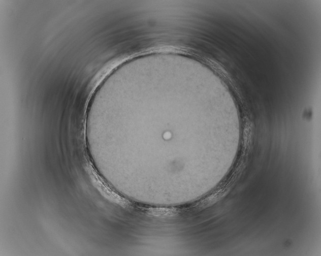 X0000114410836200911061559