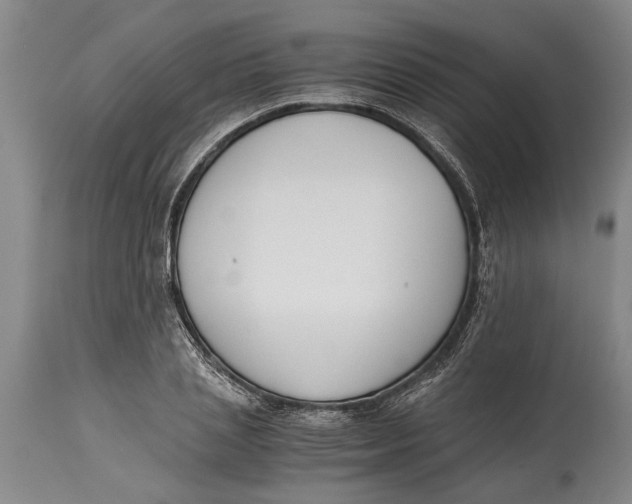 X0000114410837200911061559