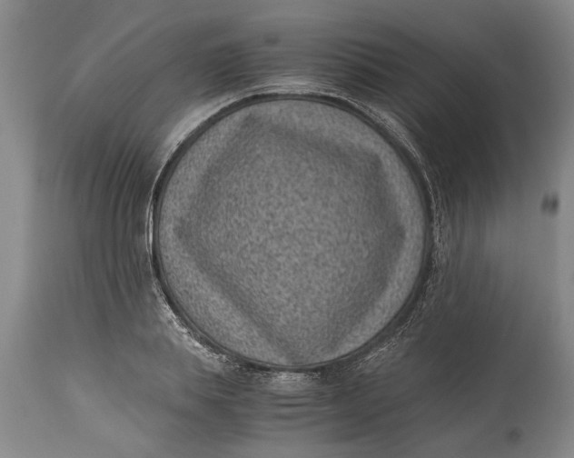 X0000114410839200911061559