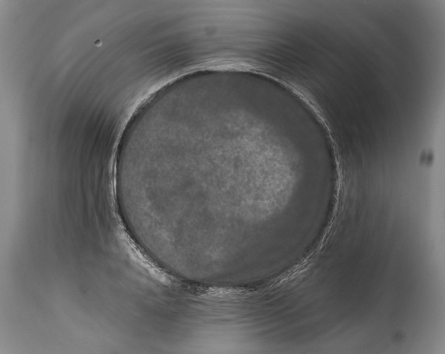 X0000114410840200911061559