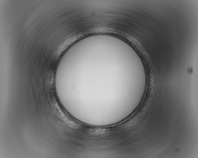 X0000114410841200911061559