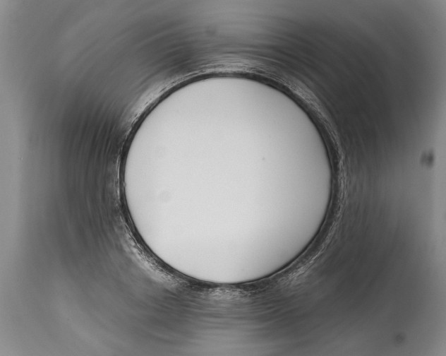 X0000114410842200911061559