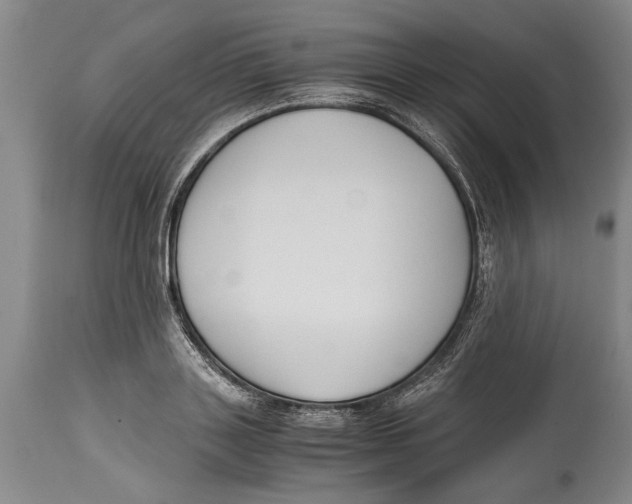 X0000114410843200911061559