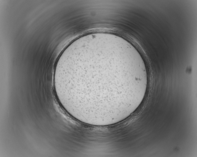 X0000114410844200911061559